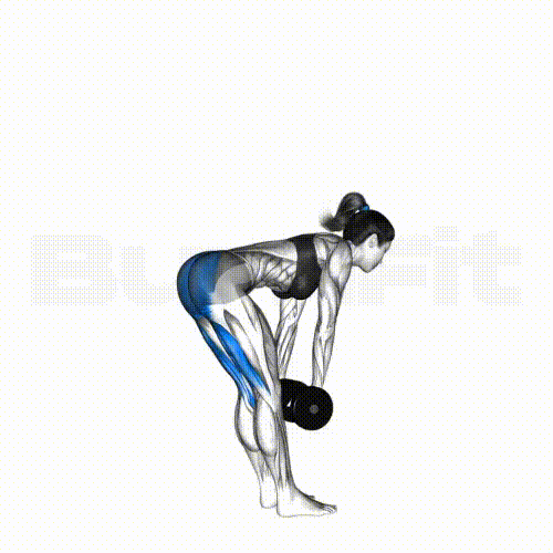 DB Stiff Leg Deadlift